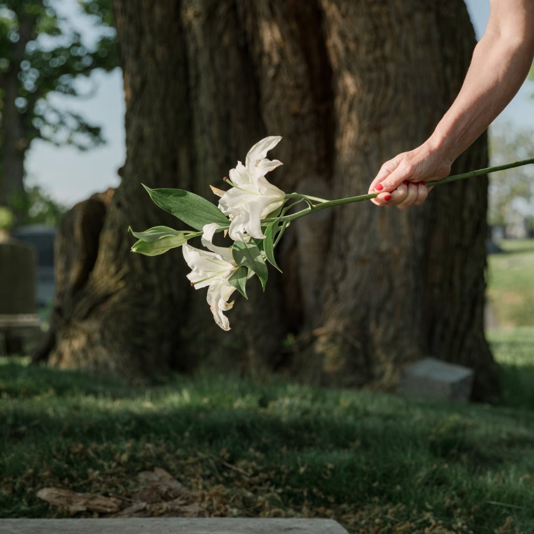 Heartfelt Eulogy Speech or Obituary for a Beautiful Goodbye