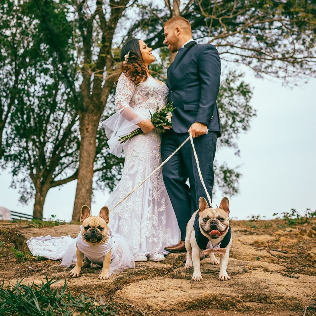 Wedding Speech Writer