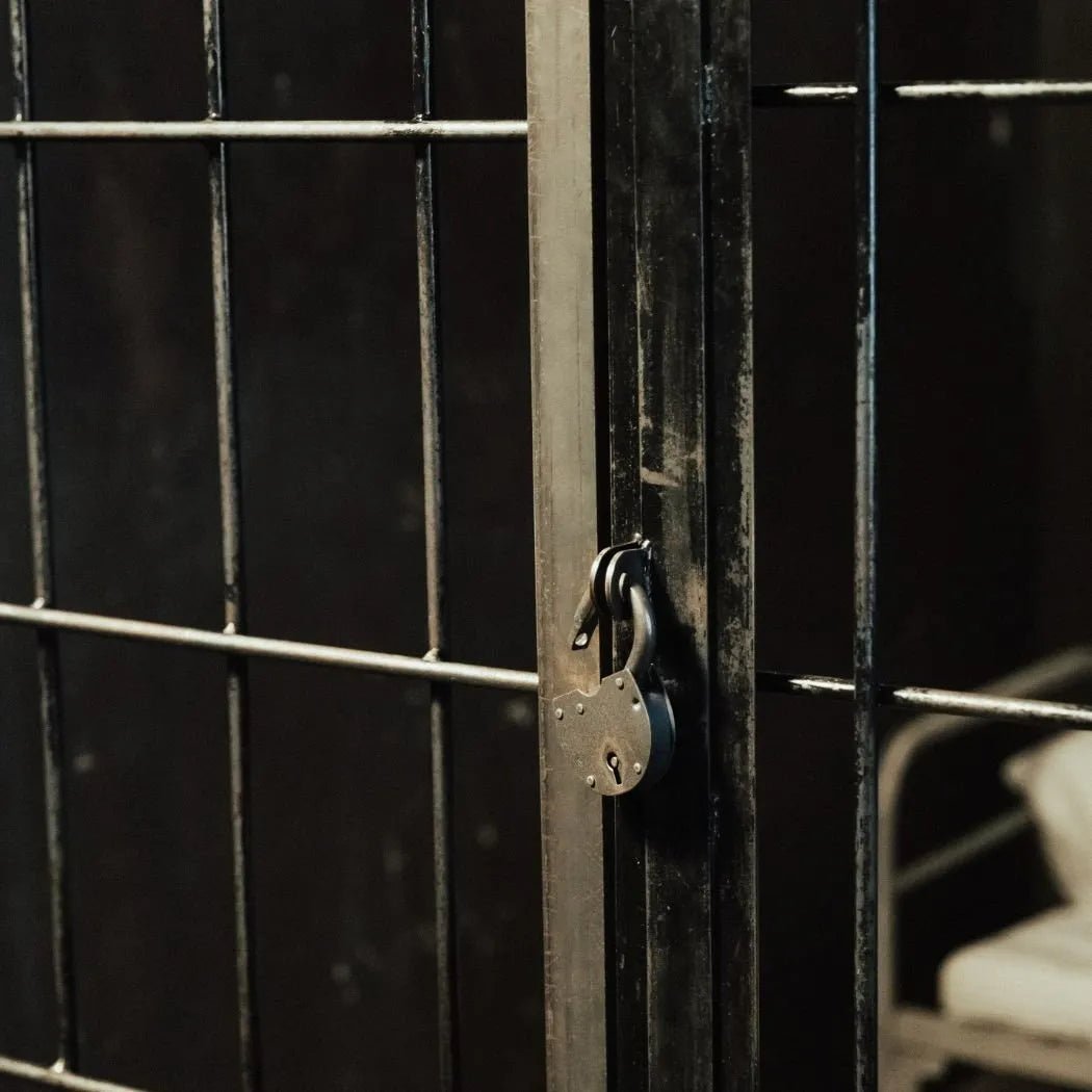 True Crime Script Writer | Freelance Writing Services in 24 Hours+ ...